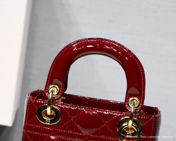 Tony Luxuries patent With diro leather Lady Mini Cow 0710
